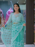 Stitched Blouse Light Tone Party Wear Saree