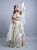 PISTA GREEN NET FABRIC APLIC WITH HANDWORK MEHANDI & PARTY WEAR LEHENGA