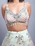 PISTA GREEN NET FABRIC APLIC WITH HANDWORK MEHANDI & PARTY WEAR LEHENGA