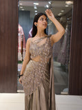 Desi Diva Party Wear Dress